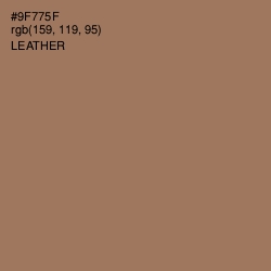 #9F775F - Leather Color Image
