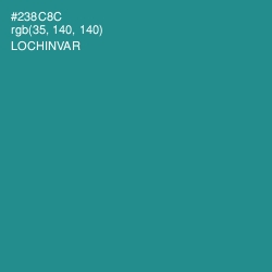 #238C8C - Lochinvar Color Image