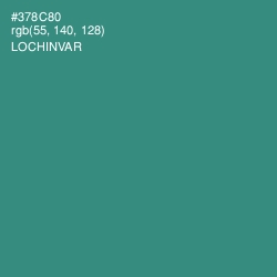 #378C80 - Lochinvar Color Image