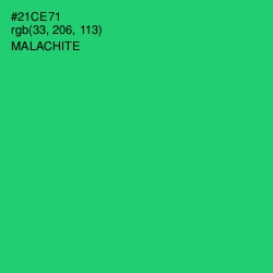 #21CE71 - Malachite Color Image