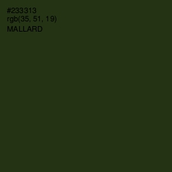 #233313 - Mallard Color Image