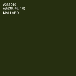 #263010 - Mallard Color Image