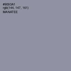 #9093A1 - Manatee Color Image