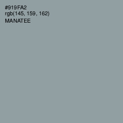 #919FA2 - Manatee Color Image