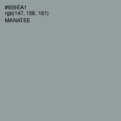 #939EA1 - Manatee Color Image