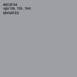#9C9FA4 - Manatee Color Image