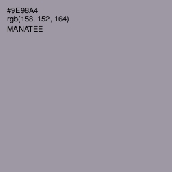#9E98A4 - Manatee Color Image