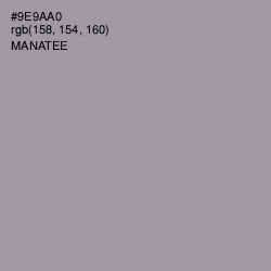 #9E9AA0 - Manatee Color Image