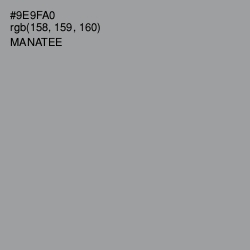 #9E9FA0 - Manatee Color Image