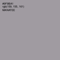 #9F9BA1 - Manatee Color Image