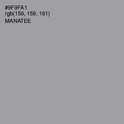 #9F9FA1 - Manatee Color Image