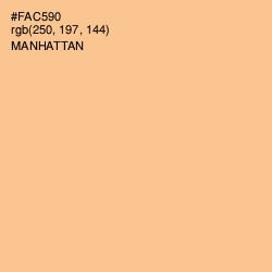 #FAC590 - Manhattan Color Image