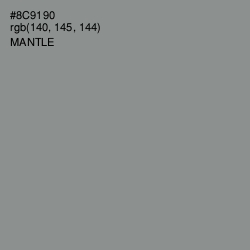 #8C9190 - Mantle Color Image