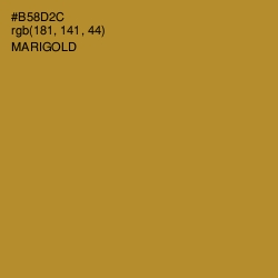#B58D2C - Marigold Color Image