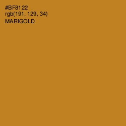 #BF8122 - Marigold Color Image