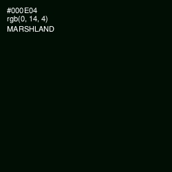 #000E04 - Marshland Color Image