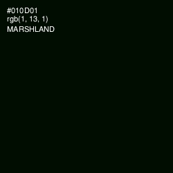 #010D01 - Marshland Color Image