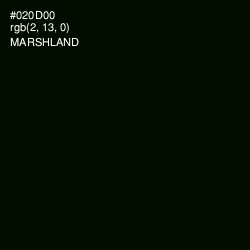 #020D00 - Marshland Color Image