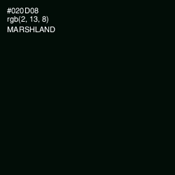 #020D08 - Marshland Color Image