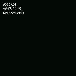 #030A05 - Marshland Color Image