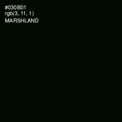 #030B01 - Marshland Color Image
