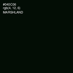 #040C06 - Marshland Color Image