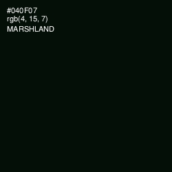 #040F07 - Marshland Color Image