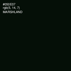 #050E07 - Marshland Color Image