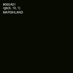 #060A01 - Marshland Color Image