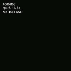 #060B06 - Marshland Color Image