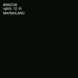 #060C06 - Marshland Color Image