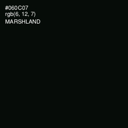 #060C07 - Marshland Color Image