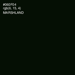 #060F04 - Marshland Color Image