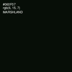#060F07 - Marshland Color Image