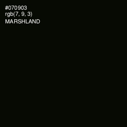 #070903 - Marshland Color Image