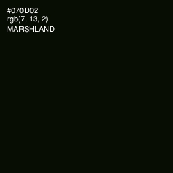 #070D02 - Marshland Color Image