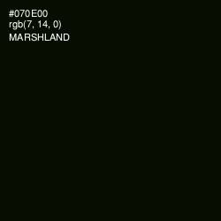 #070E00 - Marshland Color Image