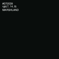 #070E09 - Marshland Color Image
