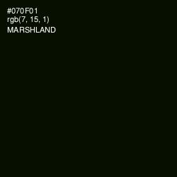 #070F01 - Marshland Color Image