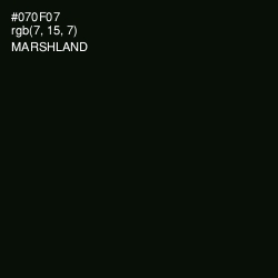 #070F07 - Marshland Color Image