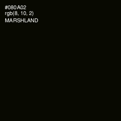 #080A02 - Marshland Color Image