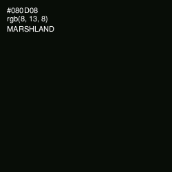 #080D08 - Marshland Color Image