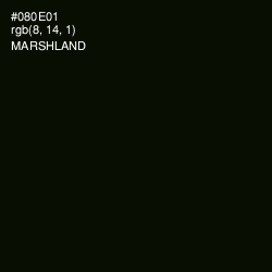 #080E01 - Marshland Color Image