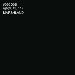 #090D0B - Marshland Color Image