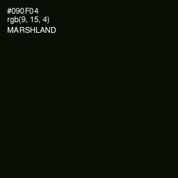 #090F04 - Marshland Color Image