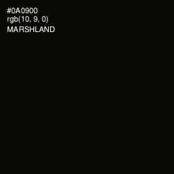 #0A0900 - Marshland Color Image