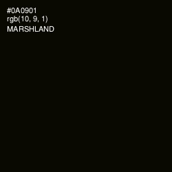 #0A0901 - Marshland Color Image