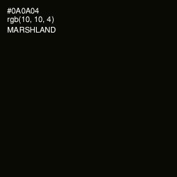 #0A0A04 - Marshland Color Image