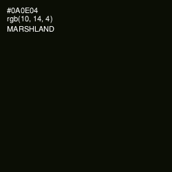 #0A0E04 - Marshland Color Image