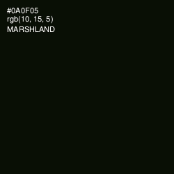 #0A0F05 - Marshland Color Image